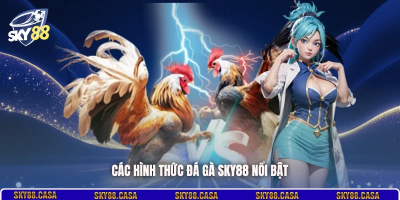 Các hình thức đá gà SKY88 nổi bật