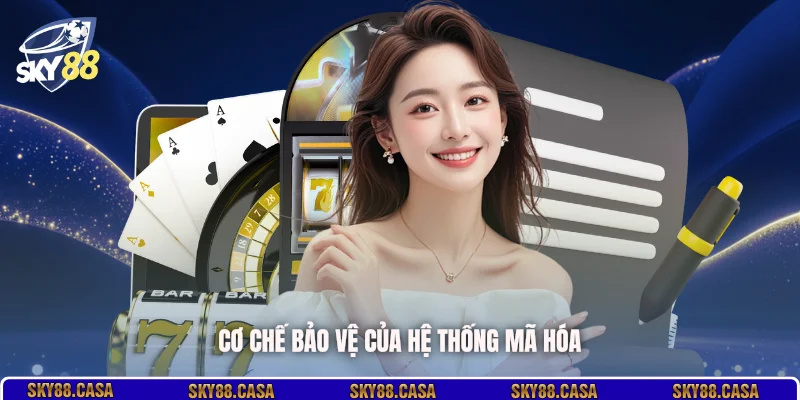 Cơ chế bảo vệ của hệ thống mã hóa