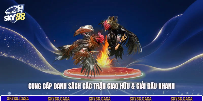 Cung cấp danh sách các trận giao hữu & giải đấu nhanh