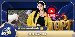 Đá gà Campuchia