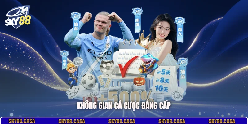 Không gian cá cược đẳng cấp