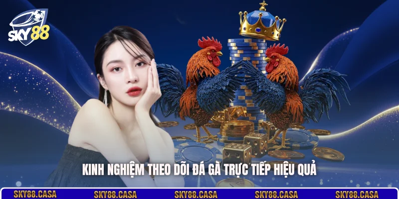 Kinh nghiệm theo dõi đá gà trực tiếp hiệu quả