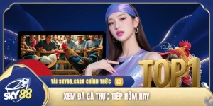 Xem đá gà trực tiếp hôm nay